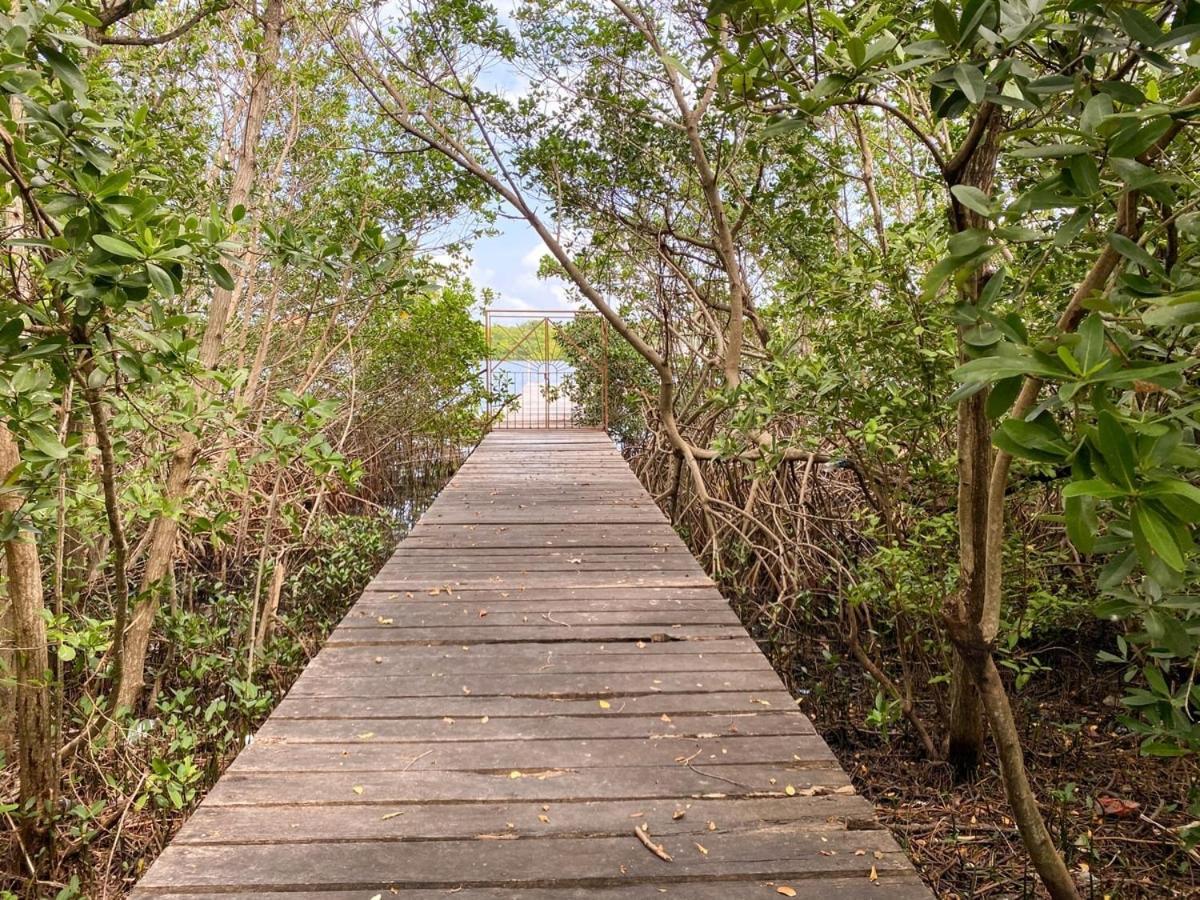 Villa Angela Isla Mujeres Zewnętrze zdjęcie
