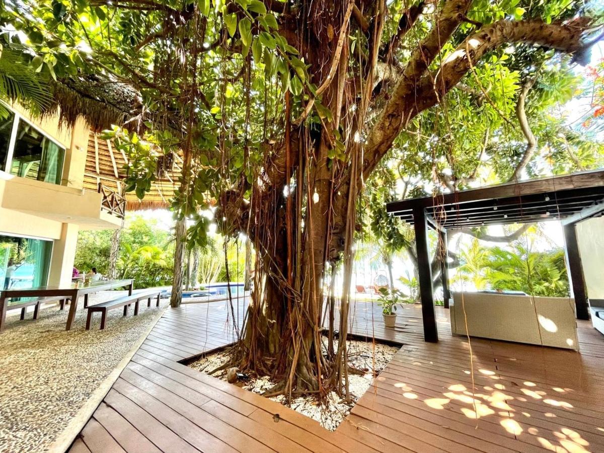 Villa Angela Isla Mujeres Zewnętrze zdjęcie