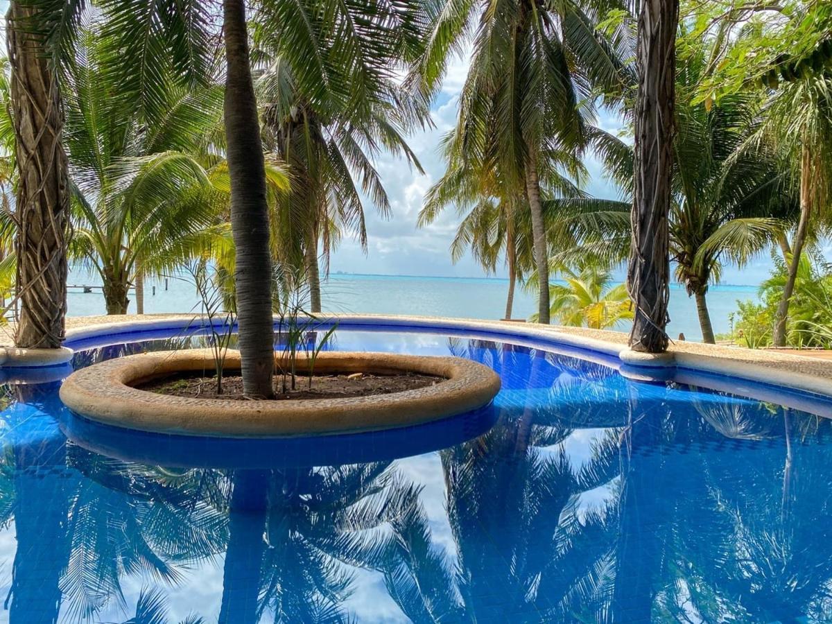 Villa Angela Isla Mujeres Zewnętrze zdjęcie